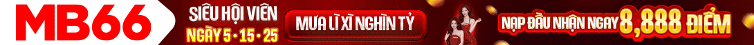 Top Banner mb66