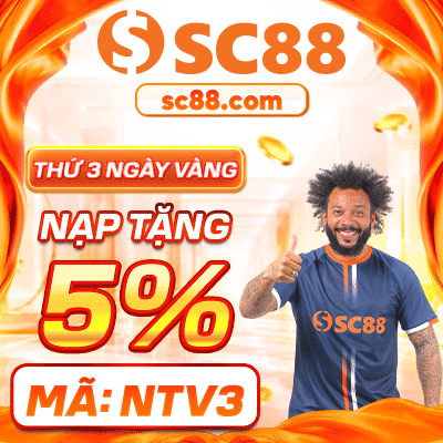 banner SC88